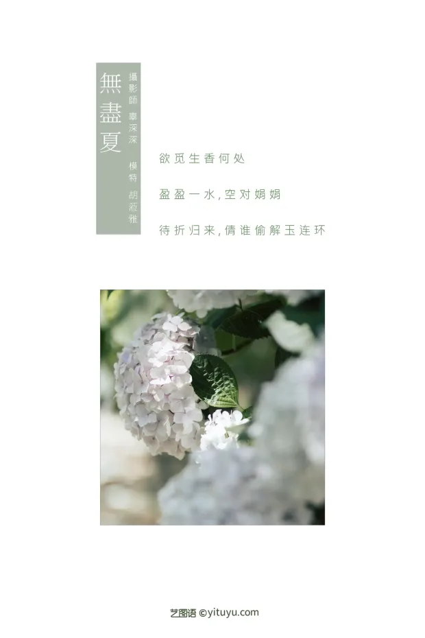 [艺图语] 2021.09.06 Vol.260 – 无尽夏 胡莅雅[23P] 2