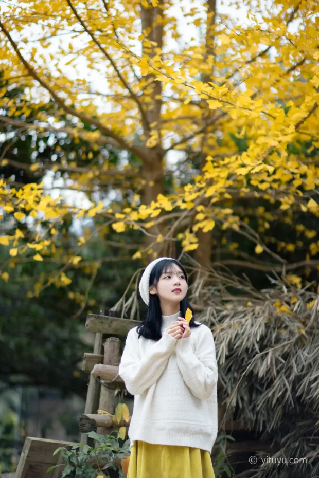 [艺图语] 2021.08.14 Vol.131 – 银杏之恋 雨文[39P] 4