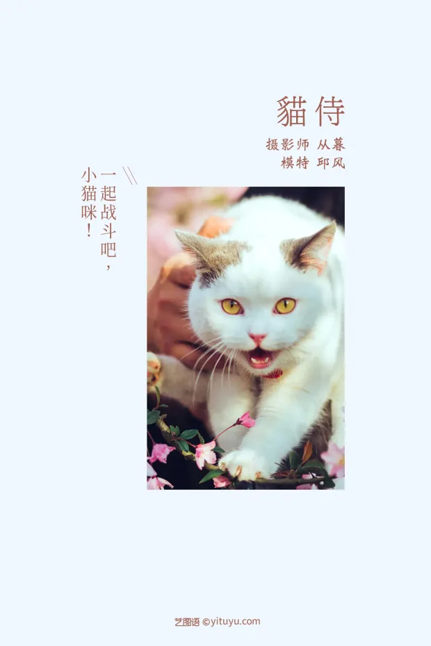 [艺图语] 2021.09.04 Vol.245 – 猫侍 邱风[31P] 2