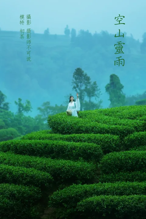 [艺图语] 2021.12.24 Vol.525 – 空山灵雨 初茶[27P]