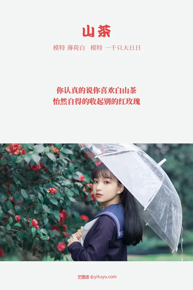 [艺图语] 2021.10.19 Vol.372 – 山茶 一千只大日日[18P] 2
