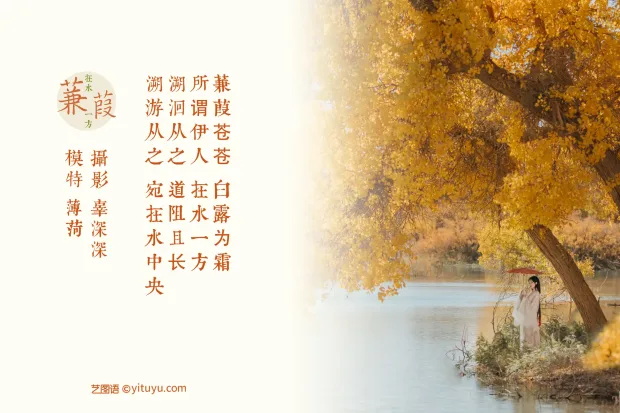 [艺图语] 2021.08.16 Vol.137 – 蒹葭 薄荷[26P] 2