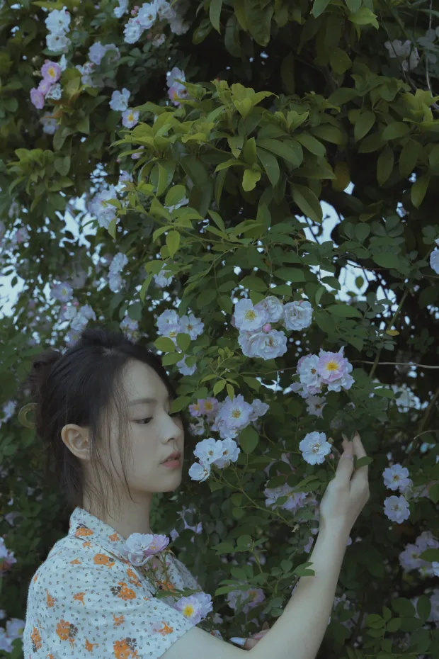 [艺图语]2024.06.28 Vol.3080 – 春风吹散了蔷薇[28P] 7