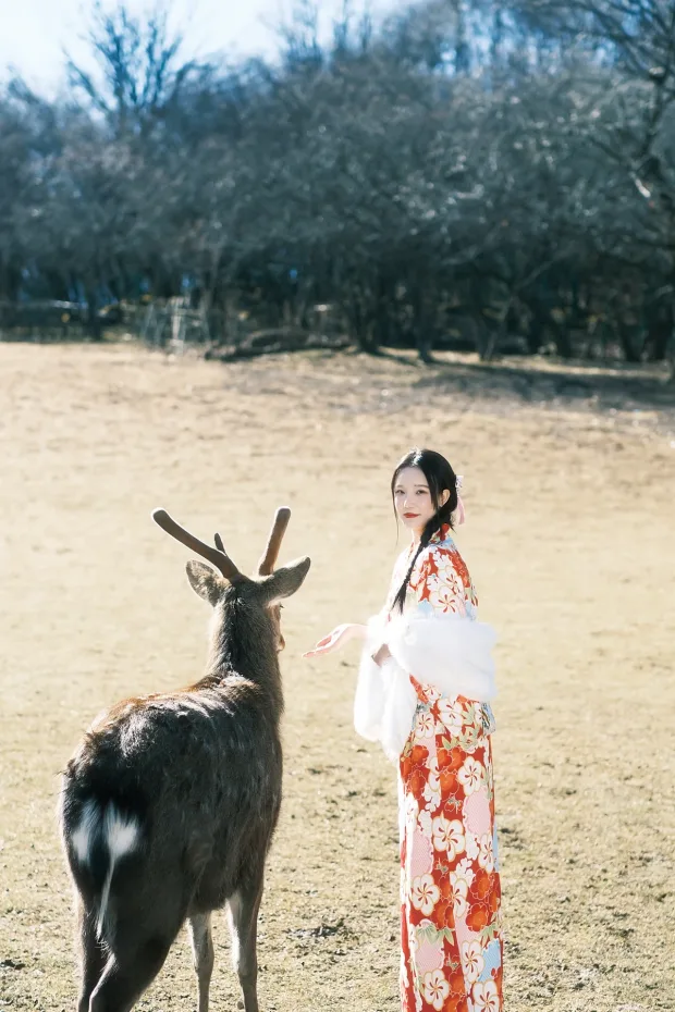 [艺图语]2022.12.31 Vol.2806 – 与鹿[19P] 8