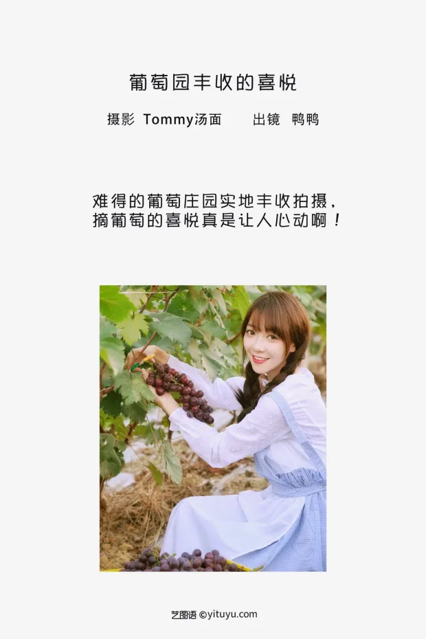 [艺图语]2023.02.04 Vol.2969 葡萄园丰收的喜悦[23P] 2