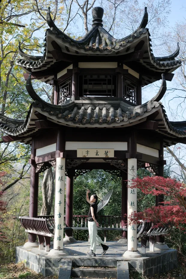 [艺图语]2022.12.20 Vol.2720 – 一半山林[23P] 8