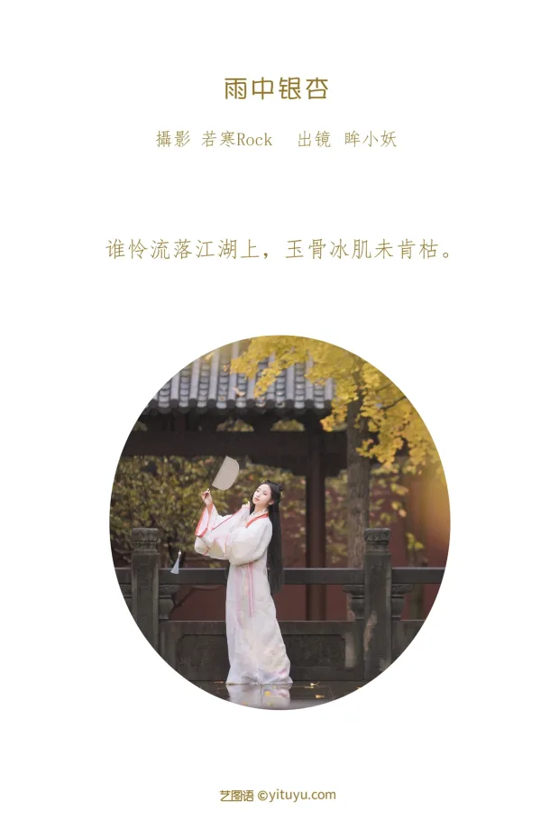 [艺图语]2023.01.10 Vol.2886 – 雨中银杏[23P] 2