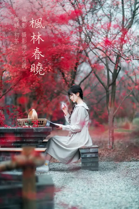 [艺图语] 2021.12.23 Vol.521 – 枫林春晓 初茶[39P]