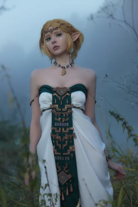 Vinnegal – Zelda_兔兔图库