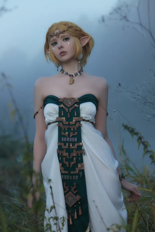 Vinnegal – Zelda_兔兔图库 1