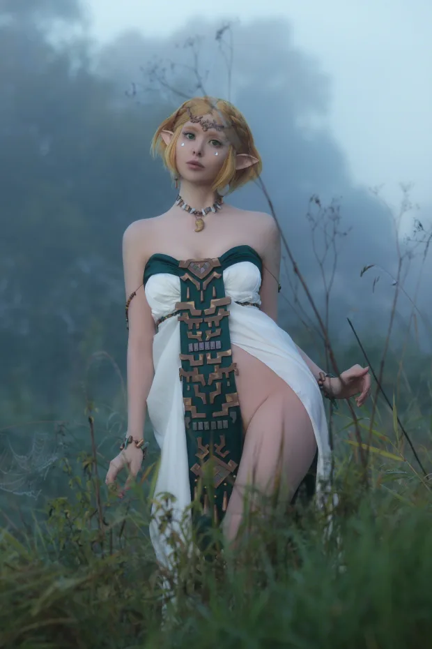Vinnegal – Zelda_兔兔图库 2