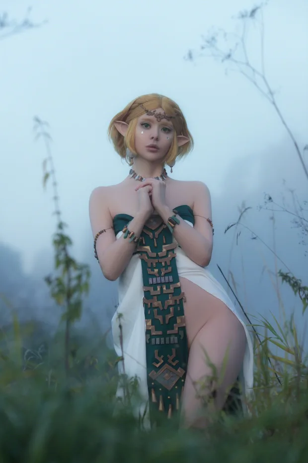 Vinnegal – Zelda_兔兔图库 3