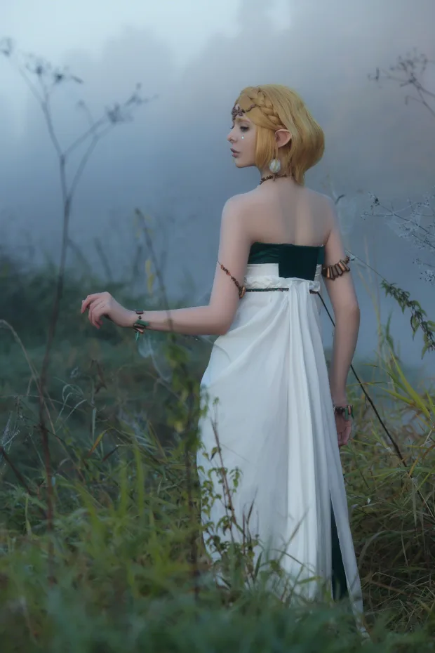 Vinnegal – Zelda_兔兔图库 4
