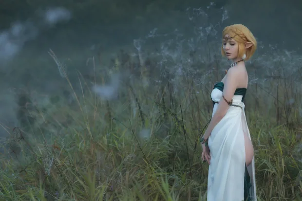 Vinnegal – Zelda_兔兔图库 5