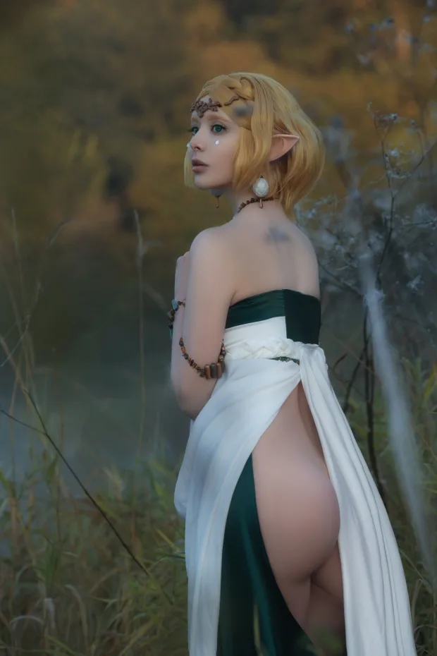 Vinnegal – Zelda_兔兔图库 6
